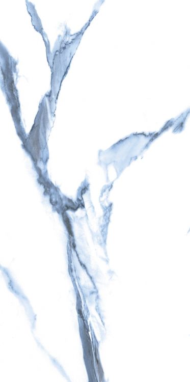 Calacatta Blue Polished 12 x 24